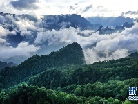 陕西略阳雨后初霁 森林公园美若仙境