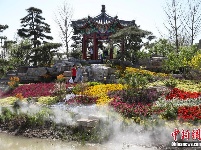 北京世园会满园美景 人流如织