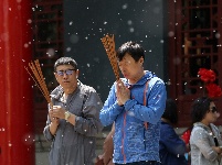 哈尔滨百年古寺柳絮飘 簌簌落如雪