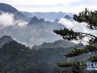陕西略阳雨后初霁 森林公园美若仙境