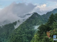 陕西略阳雨后初霁 森林公园美若仙境