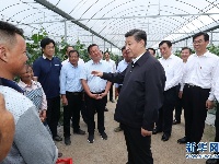 习近平深入赣南老区考察调研