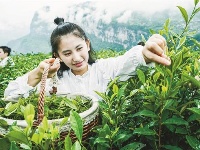 敞开山门拥抱世界 恩施海关挂牌开关