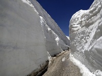 黎巴嫩北部积雪数米厚 车辆行驶雪墙之间