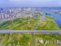 襄阳月亮湾公园：湿地如画城中绘