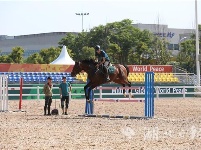 100多名骑手汇聚武汉 军运会马术测试赛11日开赛