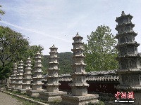 寻迹济南灵岩寺：千年古刹存灵韵
