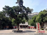 寻迹济南灵岩寺：千年古刹存灵韵