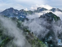 陕西略阳雨后初霁 森林公园美若仙境