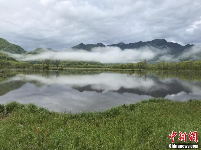 神农架大九湖 晨雾缥缈处清丽水云间