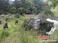 武警湖北总队机动支队“魔鬼周”训练纪实