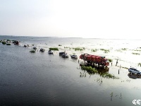 鄱阳湖水位上涨 再现“最美水上公路”