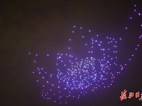 武汉之夏，荷美天下！武汉荷花节开幕