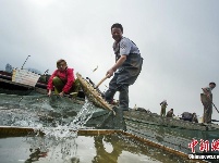 中国最大淡水湖鄱阳湖春季禁渔期结束