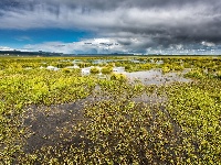 【美丽中国】天边若尔盖 长征走过的“死亡草海”
