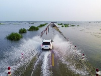 鄱阳湖水位上涨 再现“最美水上公路”