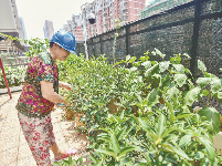 武汉多个小区加装朝天摄像头防范高空抛物 能捕捉抛物轨迹和点位