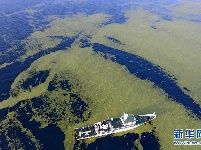 黄海海域浒苔分布面积超过5万平方公里