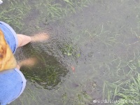 武汉普降大暴雨，城区多处渍水（组图）