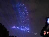 武汉之夏，荷美天下！武汉荷花节开幕