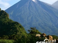 危地马拉富埃戈火山再度喷发