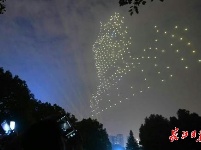 武汉之夏，荷美天下！武汉荷花节开幕