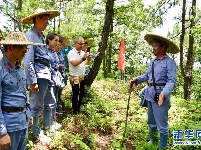 “红军长征第一村”：讲解员中的“父子兵”