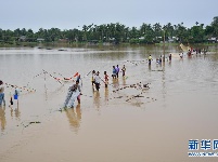 印度洪灾造成近50人死亡