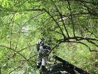 西藏军区边防官兵全副武装峡谷密林巡逻