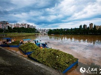 暴雨袭长江支流 清漂人昼夜打捞保葛洲坝安全