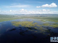 甘肃尕海湖水域面积持续扩大