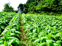 天不落水 绝壁徒步去寻水