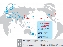 武汉直飞纽约航班昨晚首航 天河机场国际与地区航线达63条