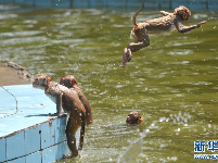 新华社国际精彩图片：一周看天下