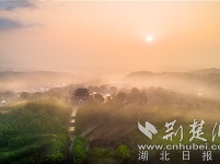 千瓣莲开玉泉寺 避暑圣境觅清凉——一句话叫响当阳