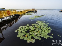 【新疆是个好地方】博斯腾湖：沙漠瀚海中的明珠