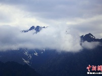 新疆托克逊黑山牧场山花烂漫云雾缭绕