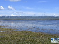 甘肃尕海湖水域面积持续扩大