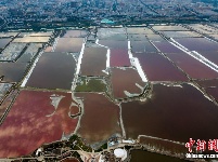 夏日山西运城盐湖七彩斑斓似调色板