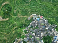 仲夏梯田景如画