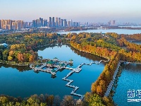 湖北砥砺奋进70年谱写高质量发展华章