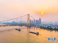 “金色巨龙”航拍完成涂装的武汉杨泗港长江大桥