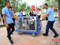 10只大熊猫落户南京紫清湖 其中6只是“海归”