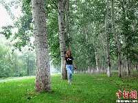 【凡人歌】北漂2.0和北漂1.0有啥不一样？