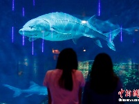 中华鲟保护科普宣传月启动