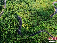 江西百丈山盘山公路 蜿蜒如巨龙