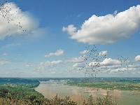 风光绮丽 汉江你真好看！