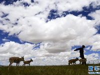 首个国家公园什么样？带你先“睹”为快 