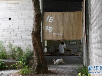 她在深圳改造“破烂”