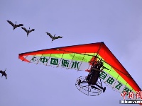 全国跳伞冠军赛启幕 百名运动员逐梦蓝天
